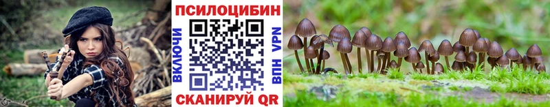 наркошоп  Смоленск  Галлюциногенные грибы Psilocybe 
